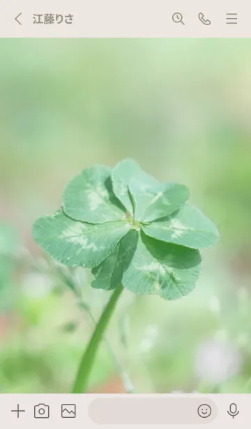 [LINE着せ替え] Real Lucky Clovers #無限の幸福 1の画像2