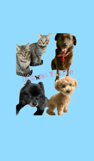 [LINE着せ替え] DOG&CAT LIFEの画像1