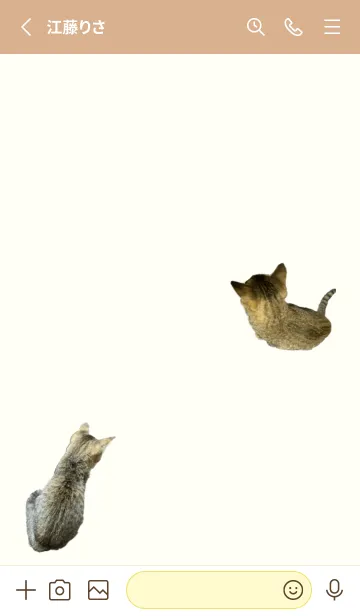 [LINE着せ替え] DOG&CAT LIFEの画像2