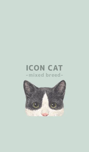 ICON CAT - ミックス - PASTEL GR/09の着せ替えメイン画像