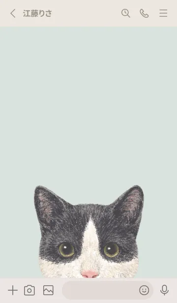 [LINE着せ替え] ICON CAT - ミックス - PASTEL GR/09の画像2