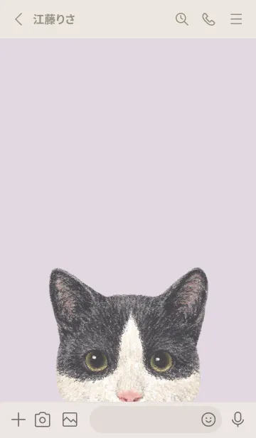 [LINE着せ替え] ICON CAT - ミックス - PASTEL PL/09の画像2