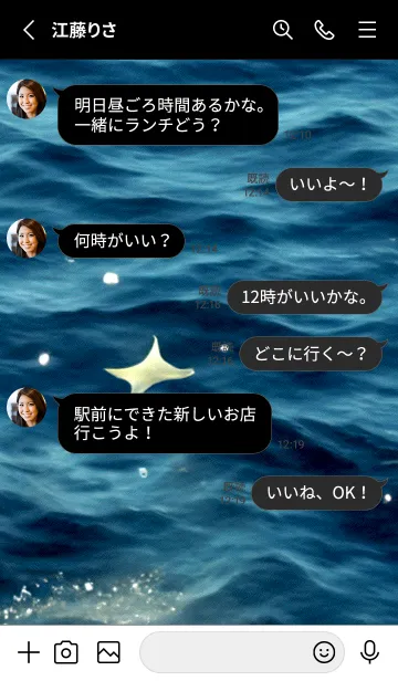 [LINE着せ替え] 夜の月 月の海 #4jcd_11。の画像3