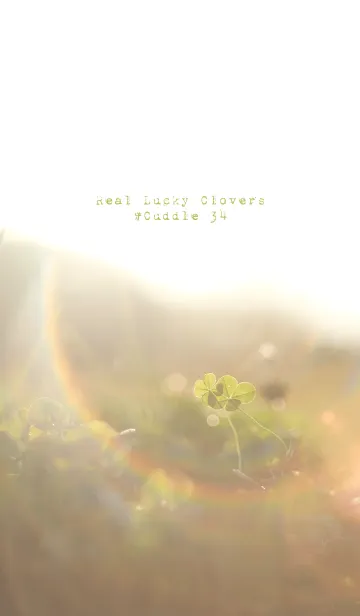[LINE着せ替え] 本物ラッキークローバーズ #Cuddle 34の画像1
