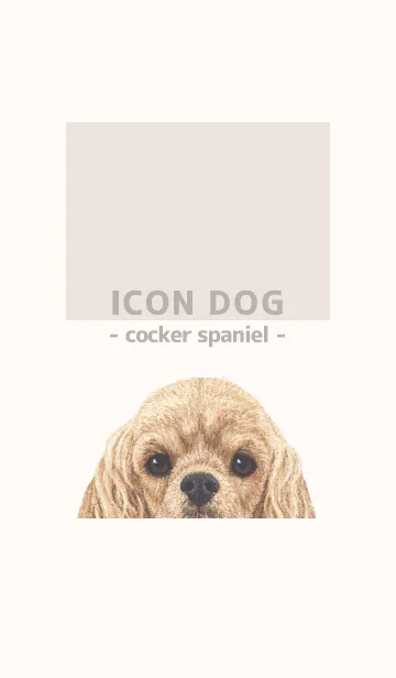 [LINE着せ替え] ICON DOG - コッカー - BEIGE/01の画像1