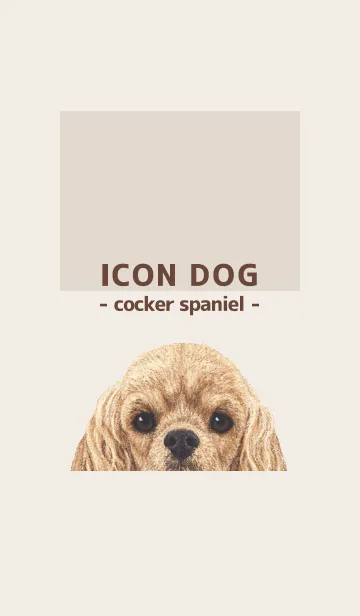 [LINE着せ替え] ICON DOG - コッカー - BROWN/01の画像1