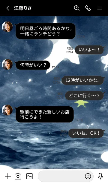 [LINE着せ替え] 夜の月 月の海 #DkE_5。の画像3