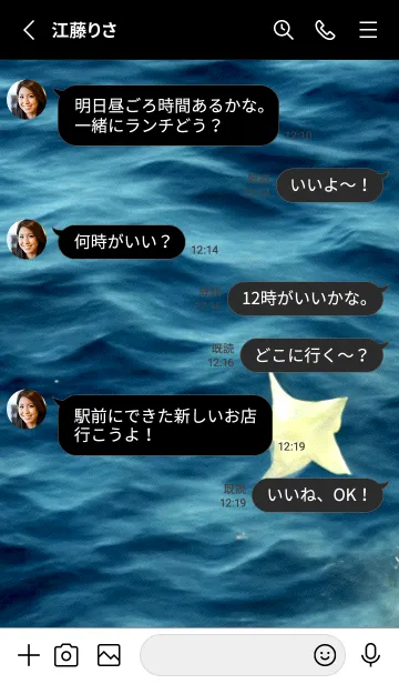 [LINE着せ替え] 夜の月 月の海 #4jcd_28。の画像3