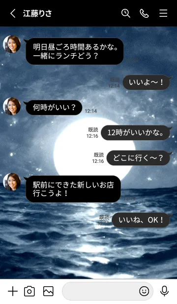 [LINE着せ替え] 夜の月 月の海 #DkE_15。の画像3