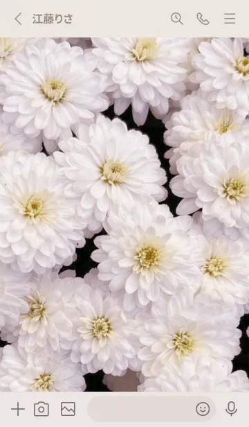 [LINE着せ替え] FLOWER -KIKU- 3の画像2