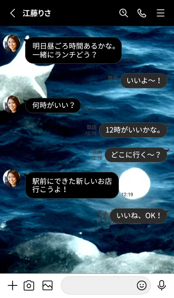 [LINE着せ替え] 夜の月 月の海 #DkE_10。の画像3