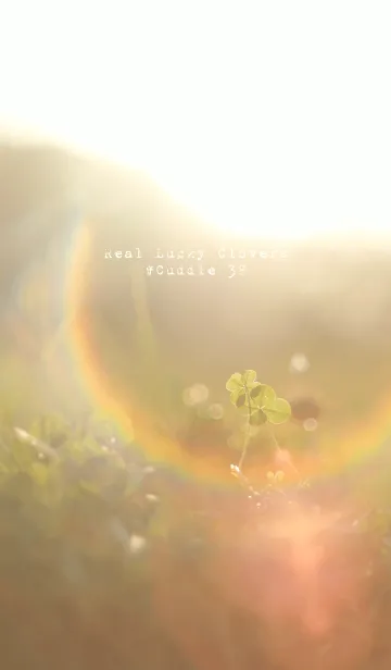 [LINE着せ替え] 本物ラッキークローバーズ #Cuddle 38の画像1