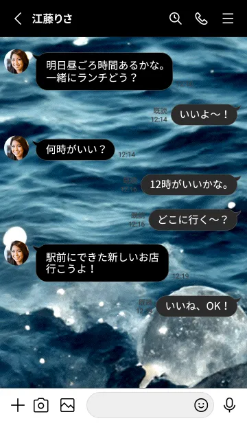 [LINE着せ替え] 夜の月 月の海 #DkE_29。の画像3