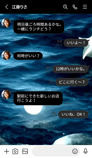 [LINE着せ替え] 夜の月 月の海 #DkE_28。の画像3