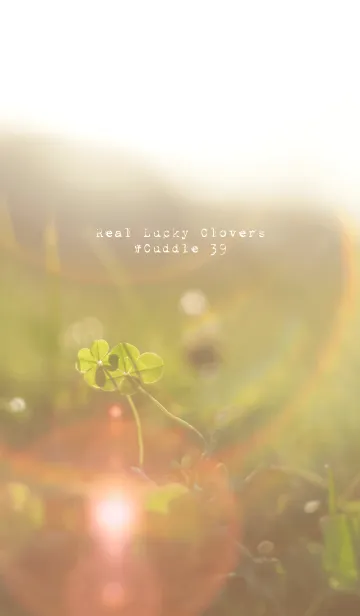 [LINE着せ替え] 本物ラッキークローバーズ #Cuddle 39の画像1