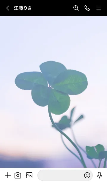 [LINE着せ替え] 本物ラッキークローバーズ #Star-Leaf 9の画像2