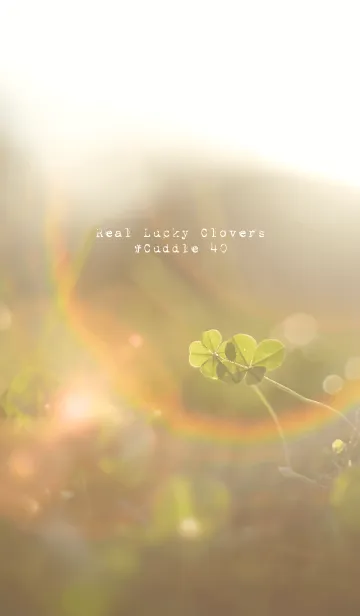 [LINE着せ替え] 本物ラッキークローバーズ #Cuddle 40の画像1