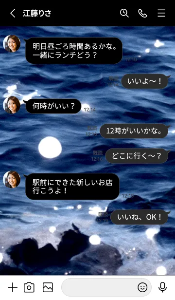 [LINE着せ替え] 夜の月 月の海 #DkF_15。の画像3