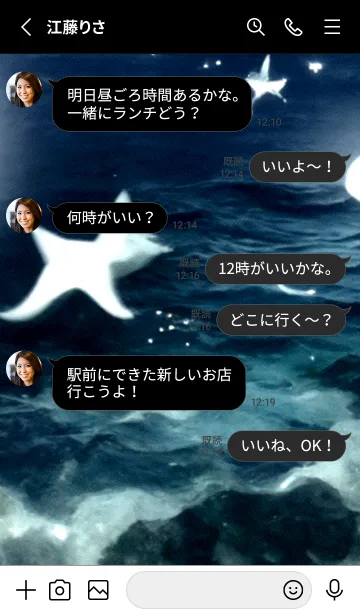 [LINE着せ替え] 夜の月 月の海 #DkF_12。の画像3