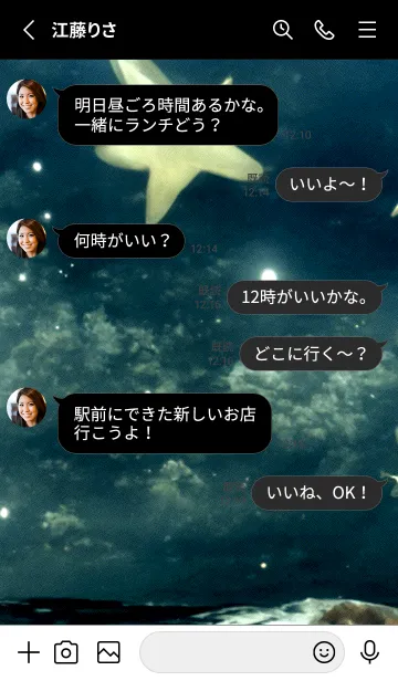 [LINE着せ替え] 夜の月 月の海 #DkF_11。の画像3