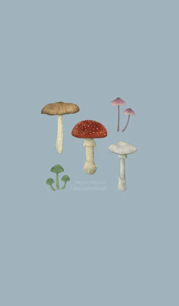 [LINE着せ替え] POISONOUS MUSHROOMS /  灰水色の画像1