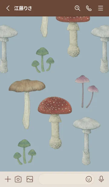 [LINE着せ替え] POISONOUS MUSHROOMS /  灰水色の画像2