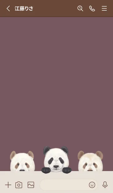 [LINE着せ替え] ANIMAL - パンダ - ダスティローズの画像2