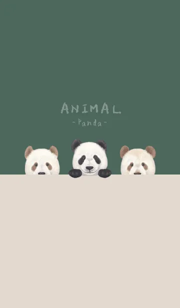 [LINE着せ替え] ANIMAL - パンダ - ダスティダークグリーンの画像1