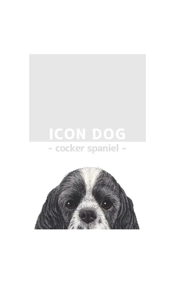 [LINE着せ替え] ICON DOG - コッカー - GRAY/02の画像1