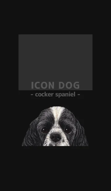 [LINE着せ替え] ICON DOG - コッカー - BLACK/02の画像1
