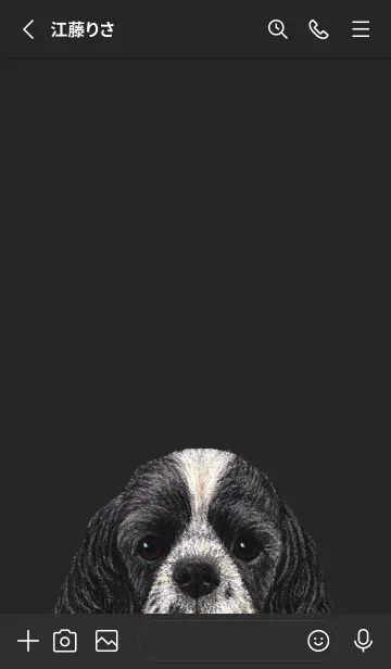 [LINE着せ替え] ICON DOG - コッカー - BLACK/02の画像2