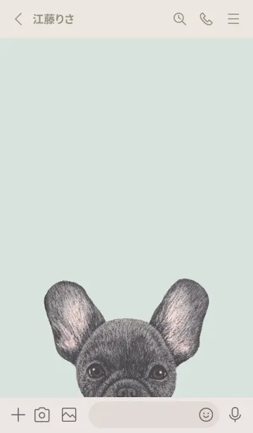 [LINE着せ替え] ICON DOG - フレンチブルドッグ - GR/01の画像2