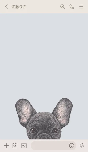 [LINE着せ替え] ICON DOG - フレンチブルドッグ - BL/01の画像2