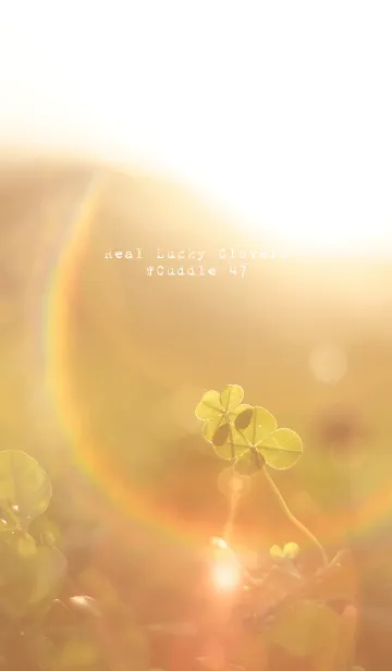 [LINE着せ替え] 本物ラッキークローバーズ #Cuddle 47の画像1