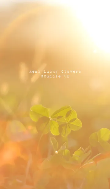 [LINE着せ替え] 本物ラッキークローバーズ #Cuddle 52の画像1
