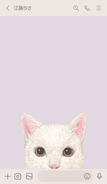 [LINE着せ替え] ICON CAT - ミックス - PASTEL PL/10の画像2