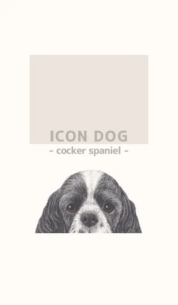 [LINE着せ替え] ICON DOG - コッカー - BEIGE/02の画像1