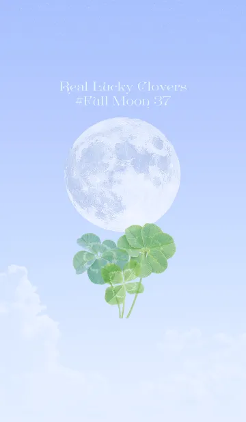 [LINE着せ替え] 本物ラッキークローバーズ #Full Moon 37の画像1
