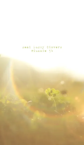 [LINE着せ替え] 本物ラッキークローバーズ #Cuddle 54の画像1