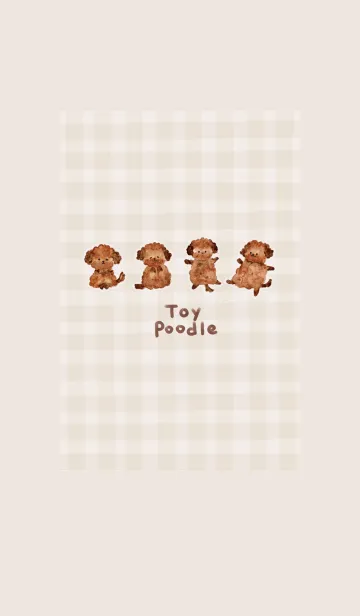 [LINE着せ替え] かわいい大好きトイプードル♪7の画像1