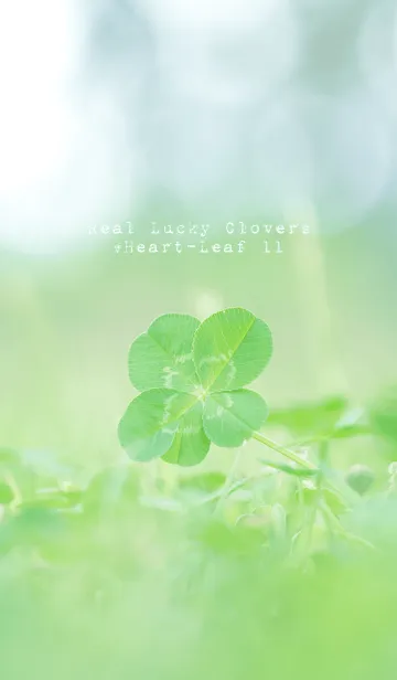 本物ラッキークローバーズ #Heart-Leaf 11の着せ替えメイン画像
