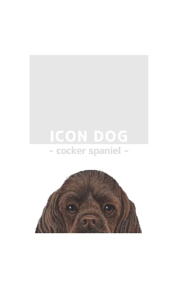[LINE着せ替え] ICON DOG - コッカー - GRAY/03の画像1