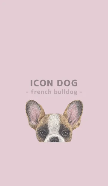 [LINE着せ替え] ICON DOG - フレンチブルドッグ - PK/02の画像1