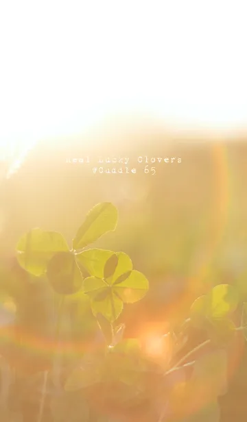 [LINE着せ替え] 本物ラッキークローバーズ #Cuddle 65の画像1