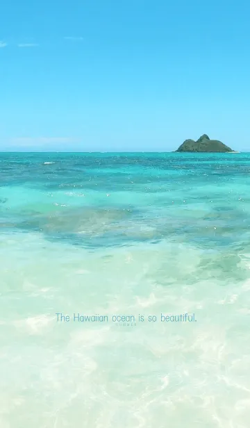 [LINE着せ替え] Hawaiian ocean is so beautiful -SEA- 6の画像1