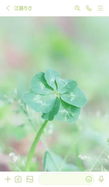 [LINE着せ替え] 無限の幸福 七つ葉のクローバー #14の画像2