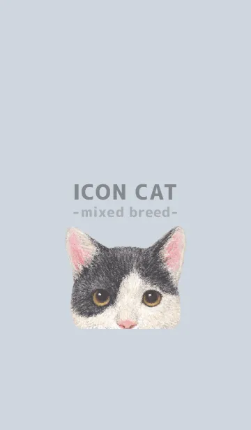 [LINE着せ替え] ICON CAT - ミックス - PASTEL BL/11の画像1