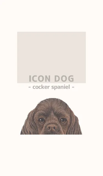 [LINE着せ替え] ICON DOG - コッカー - BEIGE/03の画像1