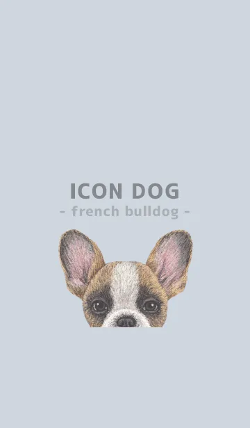 [LINE着せ替え] ICON DOG - フレンチブルドッグ - BL/02の画像1