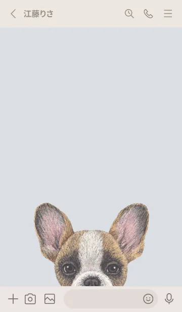 [LINE着せ替え] ICON DOG - フレンチブルドッグ - BL/02の画像2